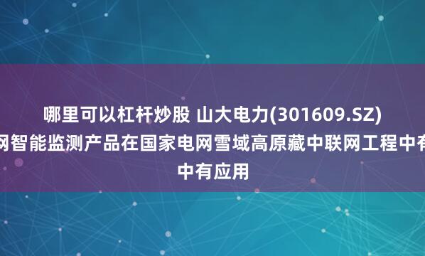 哪里可以杠杆炒股 山大电力(301609.SZ)：电网智能监测产品在国家电网雪域高原藏中联网工程中有应用